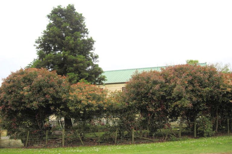 Photo of property in 37 Wellington Street, Opotiki, 3122
