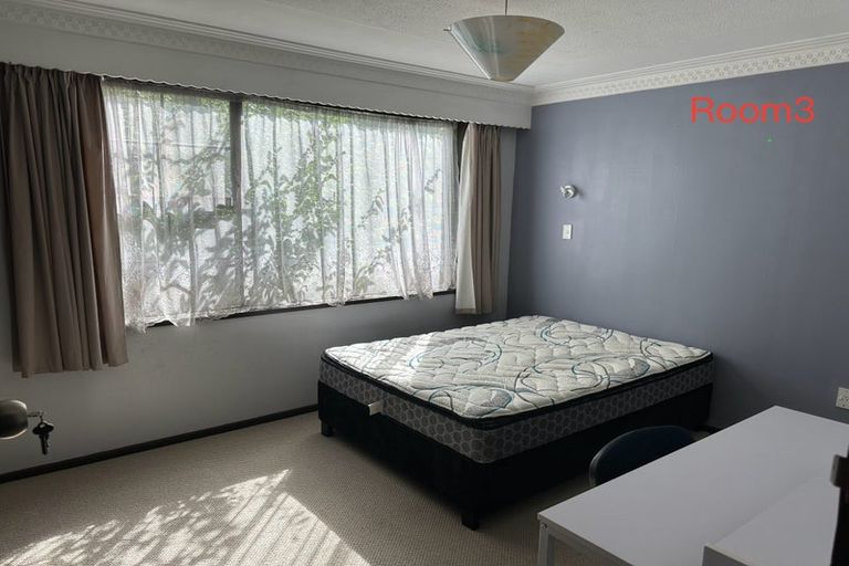 Photo of property in 100 London Street, Dunedin Central, Dunedin, 9016
