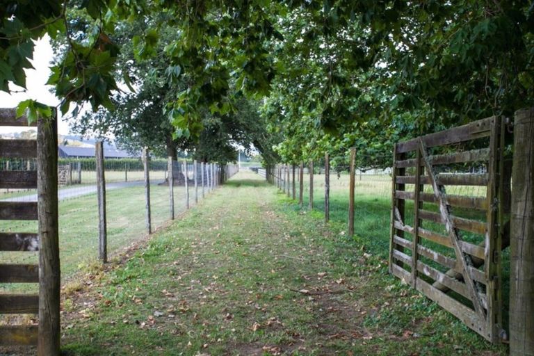 Photo of property in 35 Maungakawa Road, Cambridge, 3496