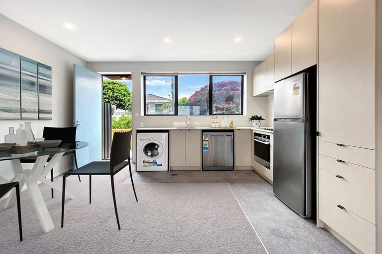 Photo of property in Aniva Terrace, 30 Ferguson Street, Newtown, Wellington, 6021