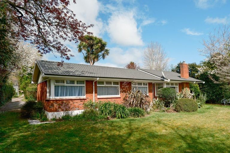 Photo of property in 103 Springfield Road, Springfield, Rotorua, 3015