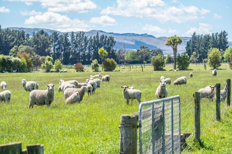 Photo of property in 49 Ashworths Road, Amberley, 7481