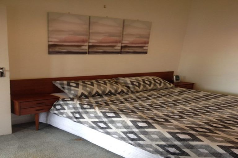 Photo of property in 14 Freyberg Street, Roslyn, Palmerston North, 4414
