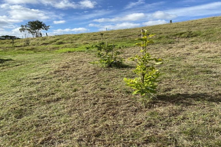 Photo of property in 277 Quarry Road, Awanui, 0482