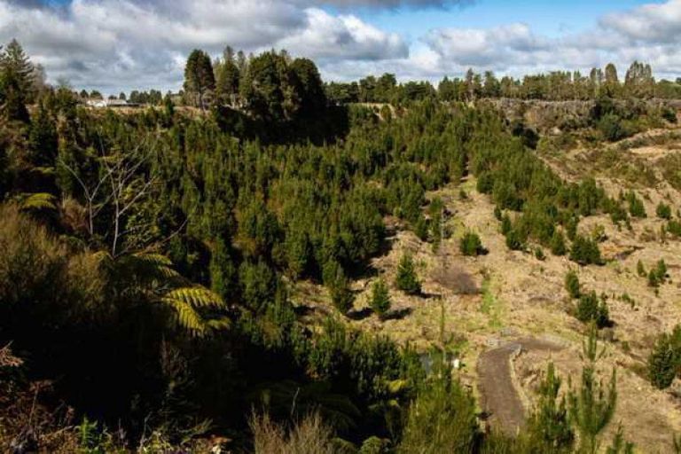 Photo of property in 81d Middle Road, Tohunga Junction, Raetihi, 4696