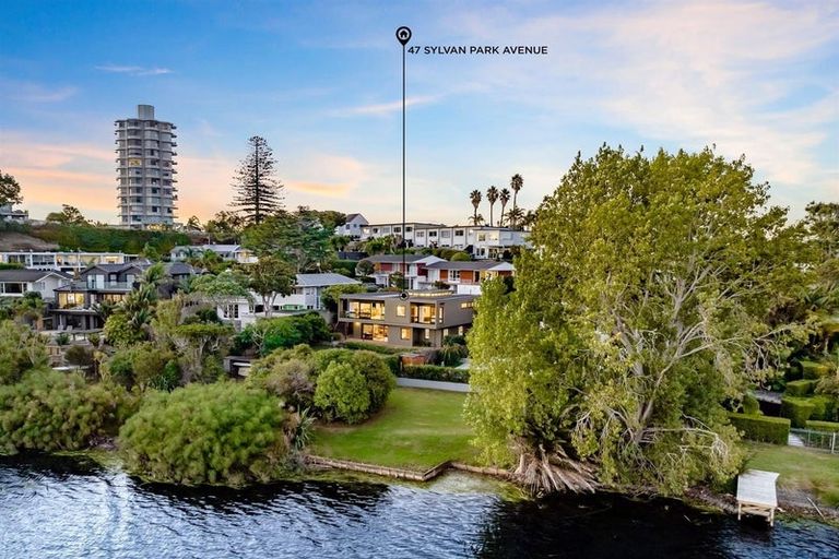 Photo of property in 47 Sylvan Park Avenue, Milford, Auckland, 0620