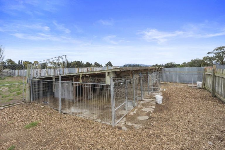 Photo of property in 176 Amberley Beach Road, Amberley, 7481