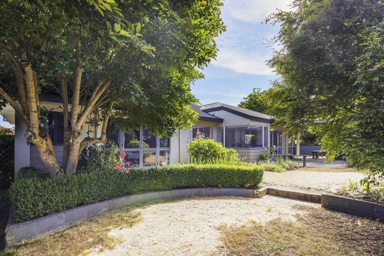 Photo of property in 51 Sunnyhills Avenue, Glenview, Hamilton, 3206