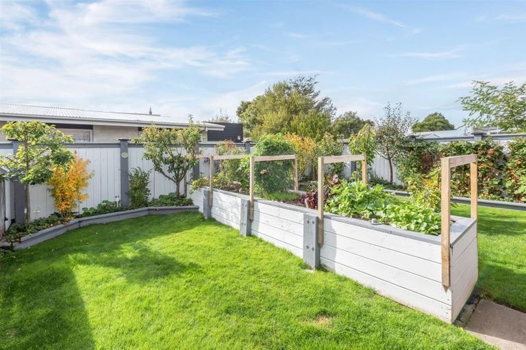 Photo of property in 50 Croziers Road, St Albans, Christchurch, 8052