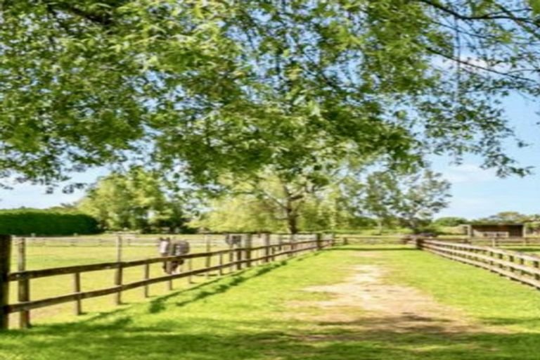 Photo of property in 179 Hautapu Road, Pukemoremore, Cambridge, 3493