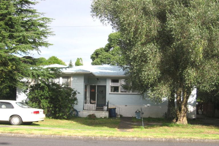 Photo of property in 29 Larnoch Road, Henderson, Auckland, 0610