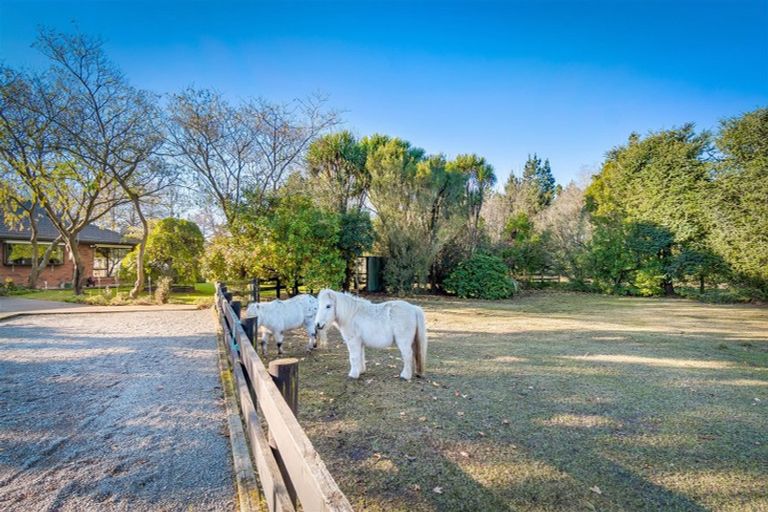 Photo of property in 842 Hoskyns Road, West Melton, Christchurch, 7675