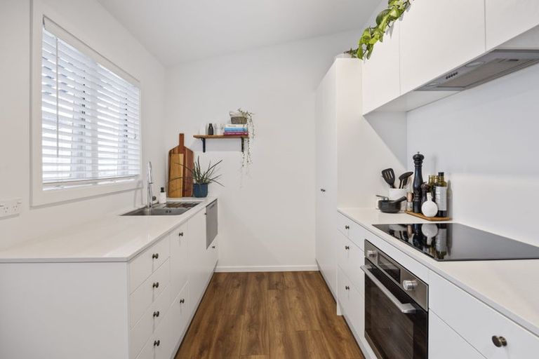 Photo of property in 251a Courtenay Street, Strandon, New Plymouth, 4312