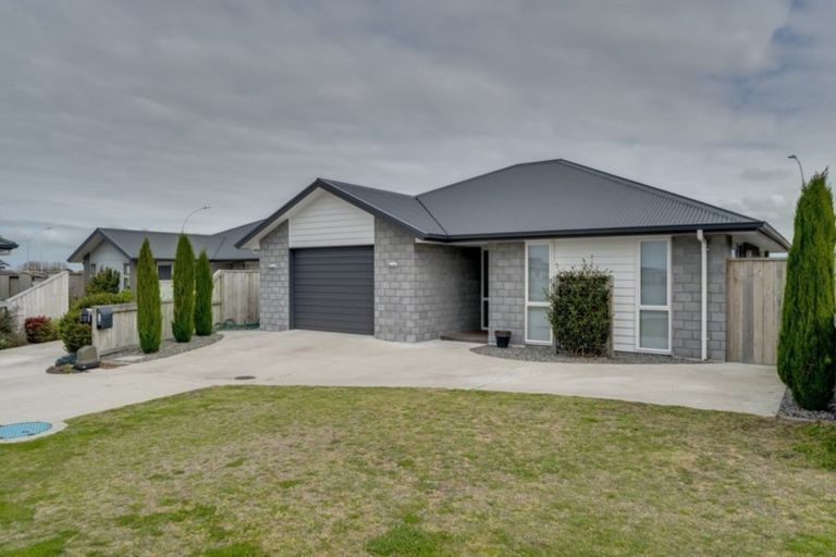 Photo of property in 19 Ponga Place, Papamoa Beach, Papamoa, 3118