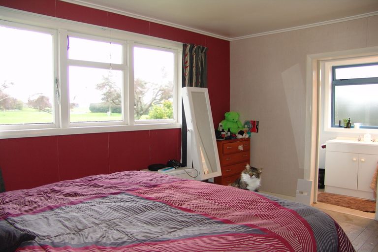 Photo of property in 184 Finch Street, Te Awamutu, 3800