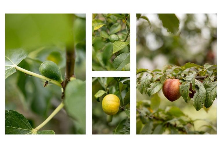 Photo of property in 18 Moira Close, Welcome Bay, Tauranga, 3175