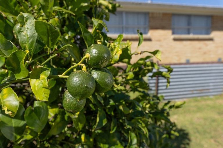 Photo of property in 36 Mcdiarmid Crescent, Huntly, 3700