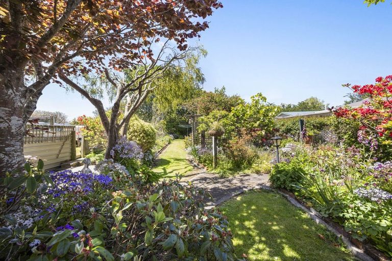 Photo of property in 47 Patu-kukupa Street, Manaia, 4612