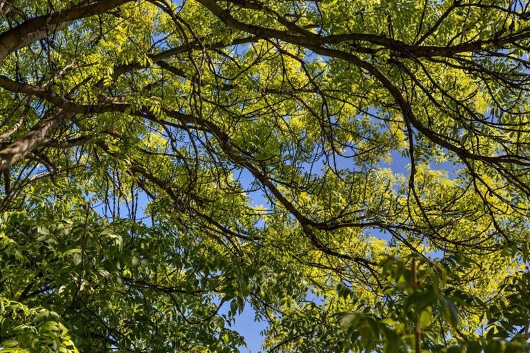 Photo of property in 6 Matai Road, Wanaka, 9305