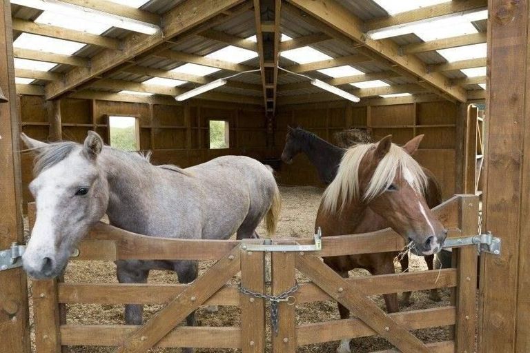 Photo of property in 72 Pendergrast Road, Mangatawhiri, Pokeno, 2471