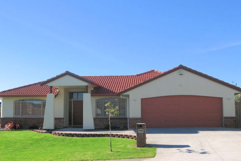 Photo of property in 31 Highfields Terrace, Henderson, Auckland, 0612