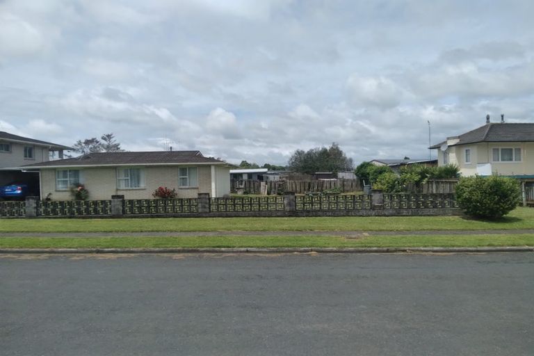Photo of property in 102 Arapuni Street, Putaruru, 3411