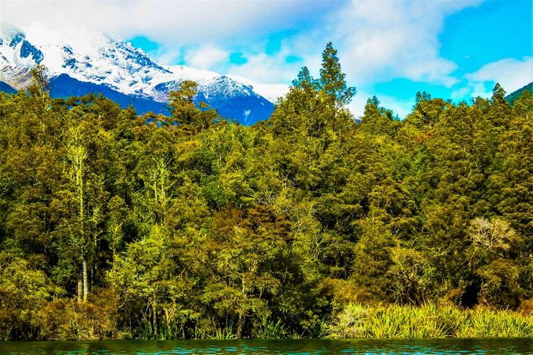 Photo of property in 53 Porika Road, Rotoroa, Murchison, 7077