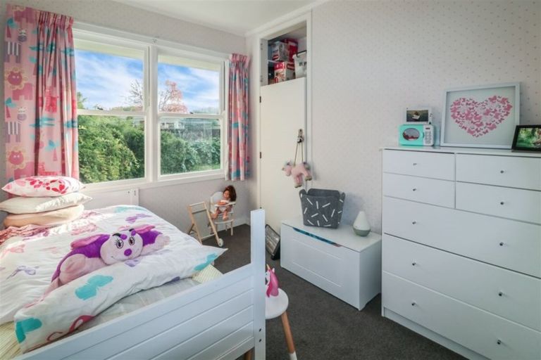 Photo of property in 119 Fitzroy Avenue, Fitzroy, Hamilton, 3206