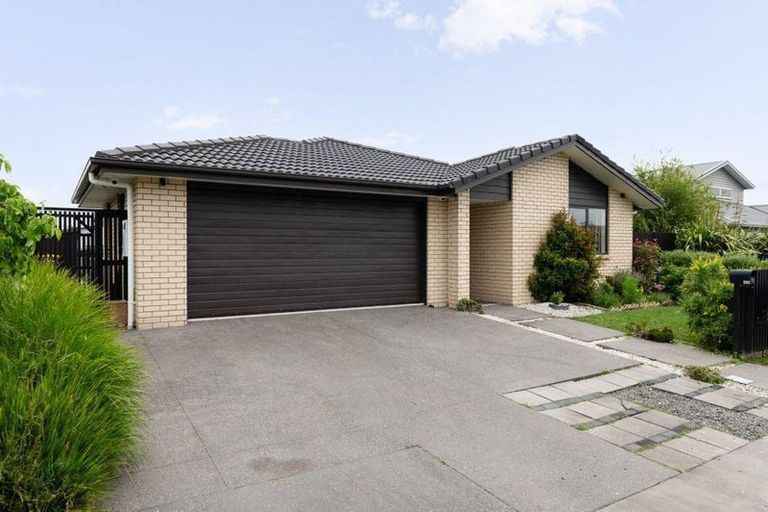 Photo of property in 31 Lulu Avenue, Chartwell, Hamilton, 3210