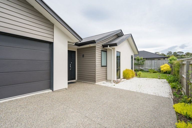 Photo of property in 14 Julius Place, Richmond, 7020