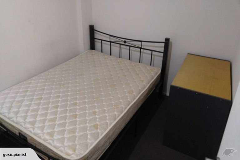 Photo of property in 53 Cook Street, Hamilton East, Hamilton, 3216