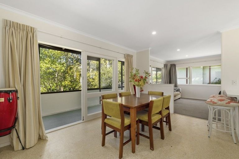 Photo of property in 11 Clifton Terrace, Brookfield, Tauranga, 3110