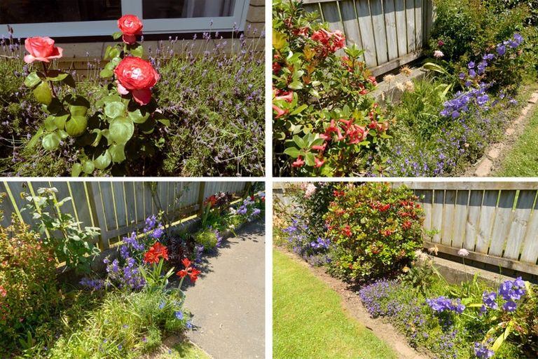 Photo of property in 48 Seventeenth Avenue, Tauranga South, Tauranga, 3112