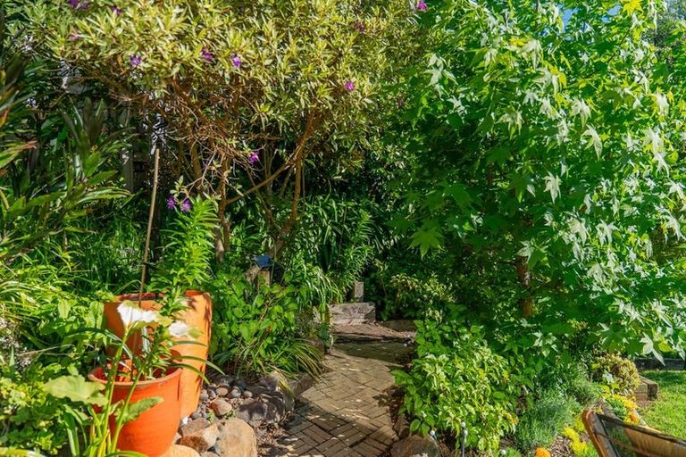 Photo of property in 191 Buffalo Beach Sh25 Road, Whitianga, 3592