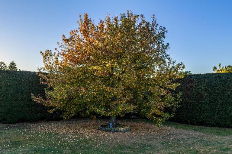 Photo of property in 27 Pohutukawa Drive, Levin, 5571