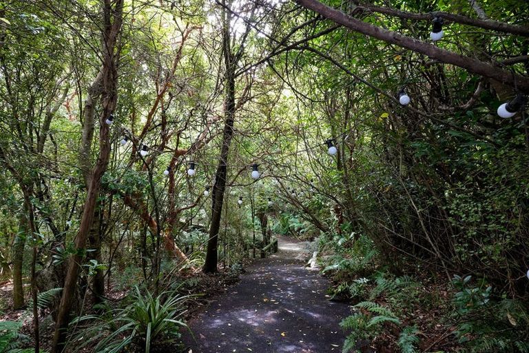 Photo of property in 54 Montague Street, North East Valley, Dunedin, 9010