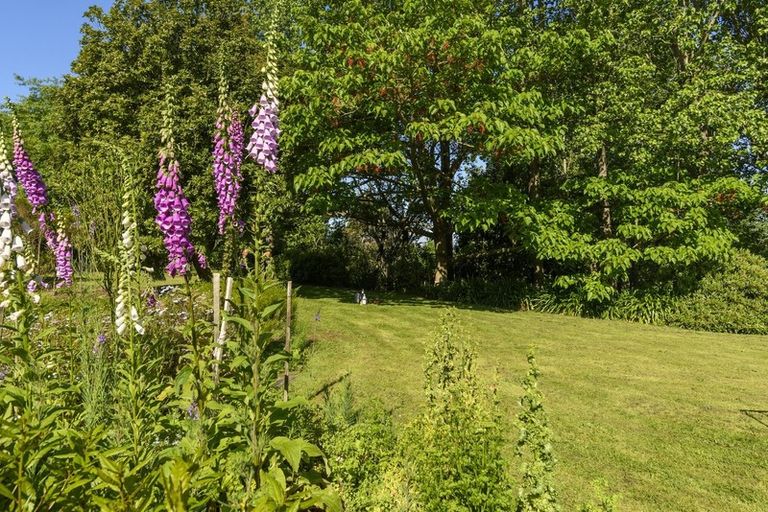 Photo of property in 56 Westridge Drive, Tauriko, Tauranga, 3110