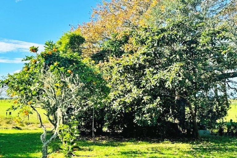 Photo of property in 66a Walker Road, Awanui, 0486