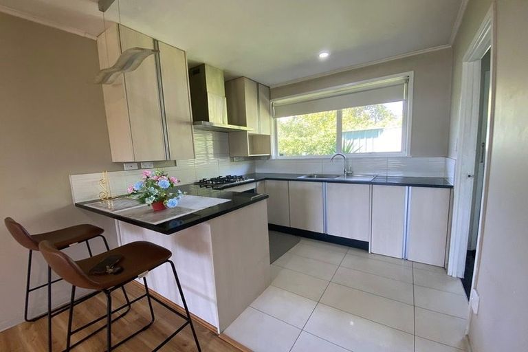 Photo of property in 1/1 Pine Street, New Lynn, Auckland, 0600