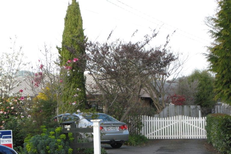 Photo of property in 47a Te Aute Road, Havelock North, 4130