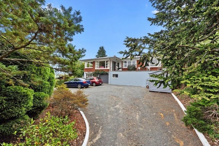 Photo of property in 29 Newcastle Road, Dinsdale, Hamilton, 3204