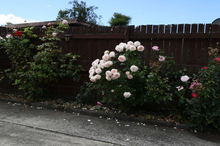 Photo of property in 76 Eivers Road, Whakatane, 3120