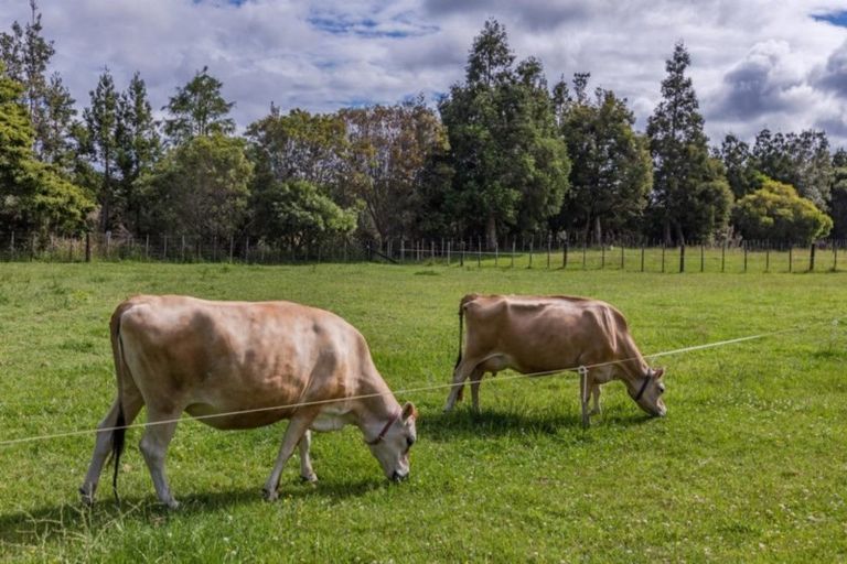 Photo of property in 37 Macadamia Lane, Waipapa, Kerikeri, 0295