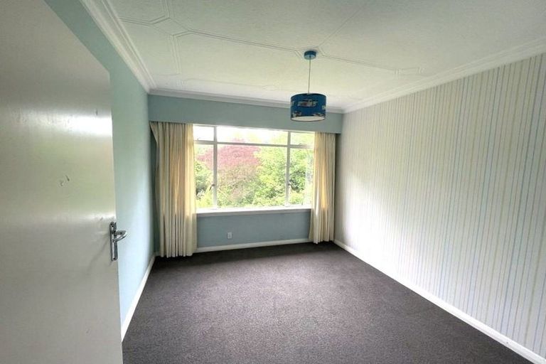 Photo of property in 16 Warden Street, Opoho, Dunedin, 9010