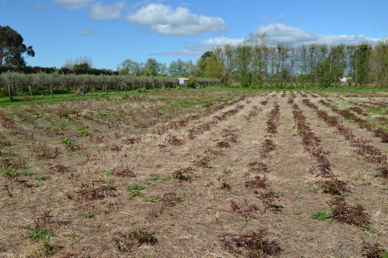 Photo of property in 83 Boundary Road, Upper Plain, Masterton, 5888