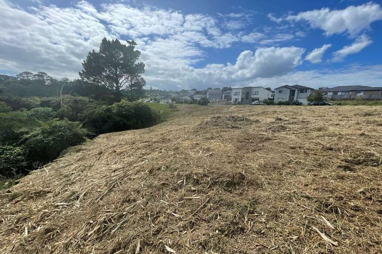 Photo of property in 1 Kaimai Avenue, Massey, 0614