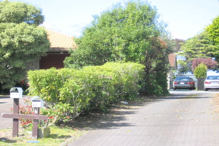 Photo of property in 42b Sunrise Avenue, Mount Maunganui, 3116