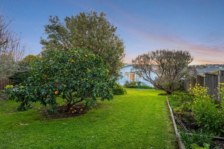 Photo of property in 46 Alton Avenue, Hillcrest, Auckland, 0627