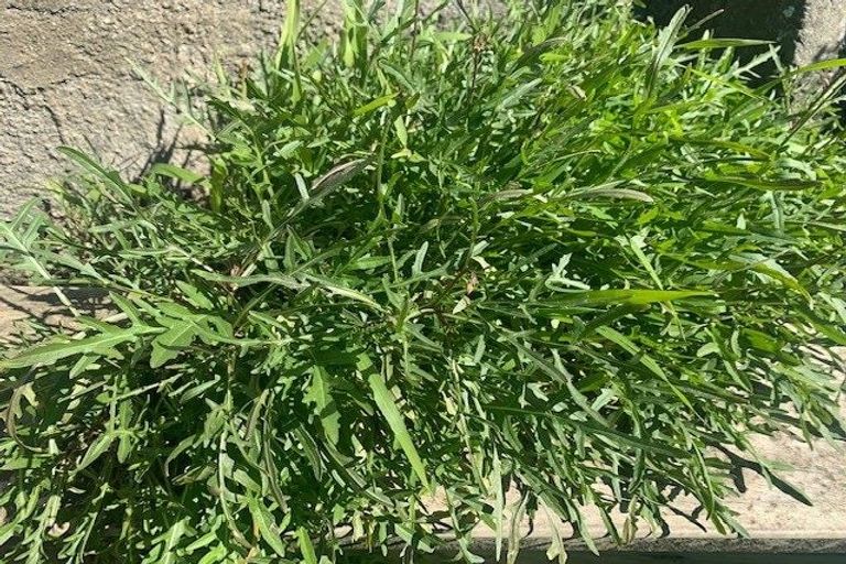 Photo of property in 77 Todman Street, Brooklyn, Wellington, 6021