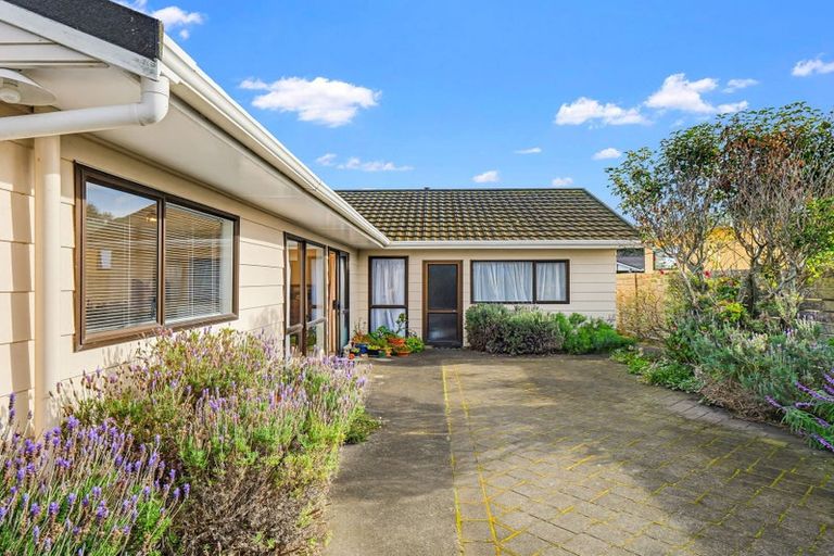 Photo of property in 10 Downes Avenue, Springvale, Whanganui, 4501
